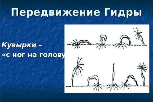 Kraken 12 at что это