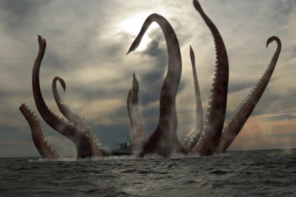 Kraken ссылка