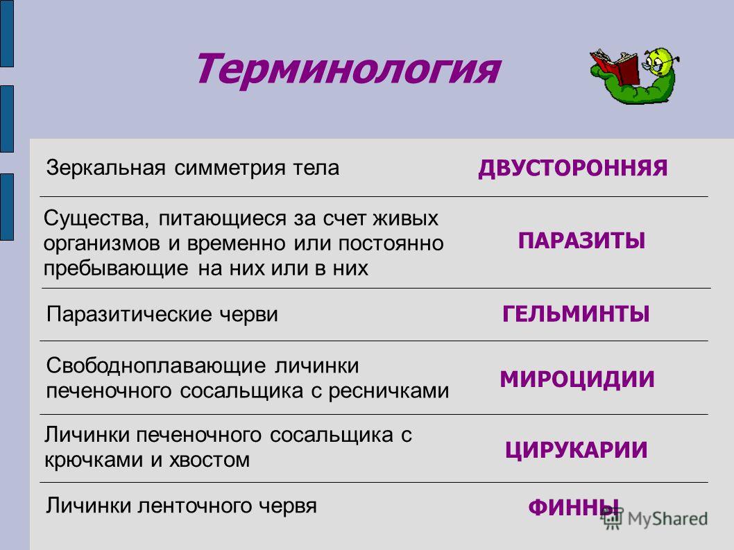 Как пополнить кракен